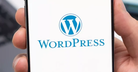 هر آنچه باید از درگیری جنجالی بنیانگذار وردپرس با WP Engine بدانید
