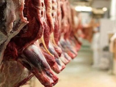 2 هزار تن گوشت مازاد دامداران خرید حمایتی می‌شود