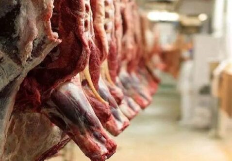 2 هزار تن گوشت مازاد دامداران خرید حمایتی میشود