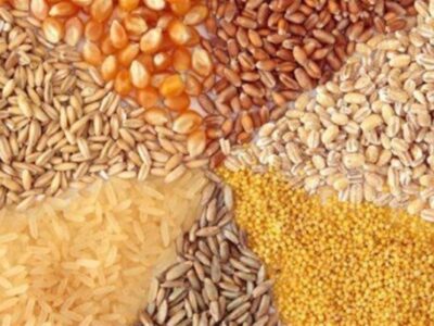 فرصت‌سوزی و انفعال در تجارت با روسیه برای تنظیم بازار نهاده