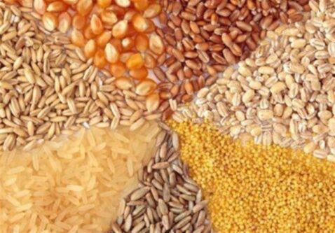 فرصتسوزی و انفعال در تجارت با روسیه برای تنظیم بازار نهاده
