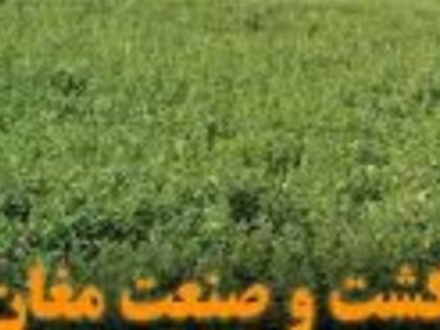 احتمال جدی بازگشت کشت و صنعت مغان به بخش خصوصی