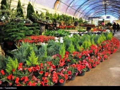 جهش 161 درصدی کشت گلخانه ای در کشور طی یک دهه اخیر
