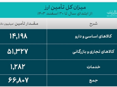 تأمین ۶۶.۸ میلیارد دلار ارز واردات و نیازهای خدماتی در ۱۴۰۳