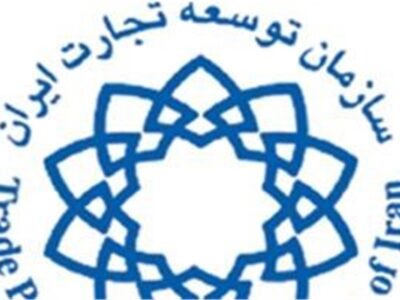 تکذیب تغییرموضع توسعه تجارت در حقوق ورودی واردات خودرو