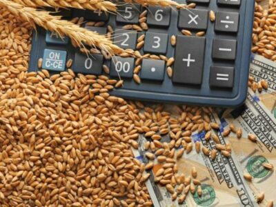 اعلام زودهنگام واردات گندم؛ اشتباه استراتژیک