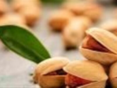 آلودگی به مایکوتوکسین‌ها از چالش‌های اصلی صادرات پسته
