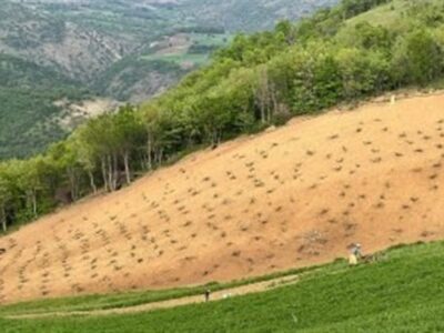طرح نجات جنگل‌های زاگرس آغاز شد