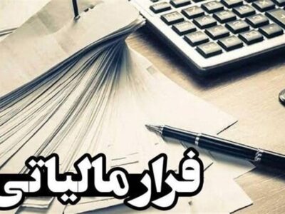 مقابله با دانه‌درشت‌ها از مسیر هوشمندسازی نظام مالیاتی