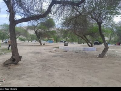 خرید و فروش اراضی جنگلی و ملی ممنوع است