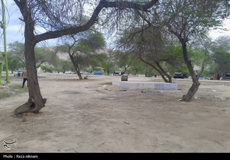 خرید و فروش اراضی جنگلی و ملی ممنوع است