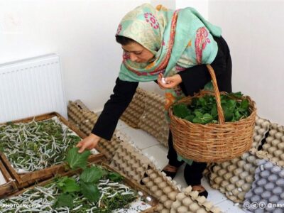 افتتاح هم زمان ۲۲۰ نمایشگاه مشاغل خانگی در سراسر کشور