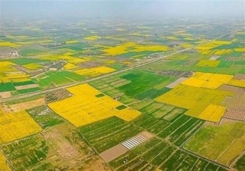77 درصد اراضی کشاورزی حدنگاری شد