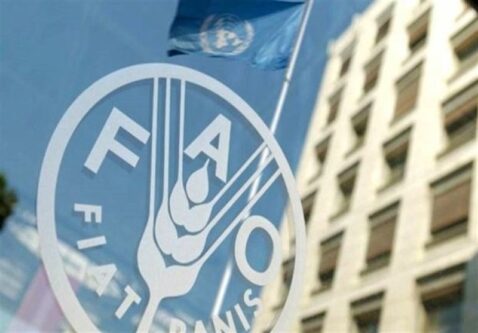 حق رای ایران در فائو پس از 15 سال احیا شد