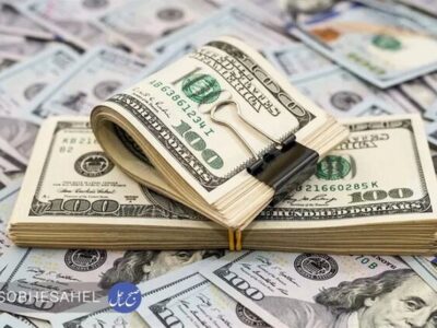 وضعیت ذخایر ارزی و تجارت خارجی کشور مطلوب است