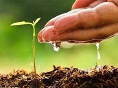 968 طرح آب و خاک در هفته جهاد کشاورزی بهره‌برداری می‌شود