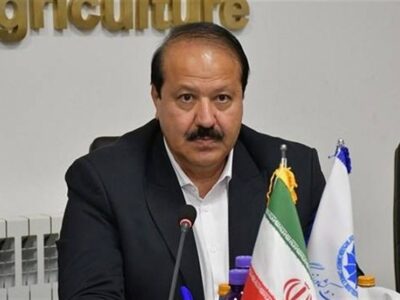 بخش خصوصی برای حفظ پایداری اقتصاد، در میدان حضور دارد