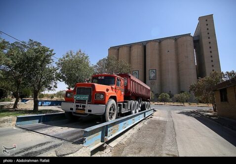 خرید تضمینی گندم از مرز 5 میلیون تن گذشت