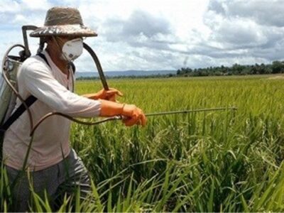 آغاز ثبت سفارش سموم آفات نباتی برای سال زراعی جدید از روزهای آینده