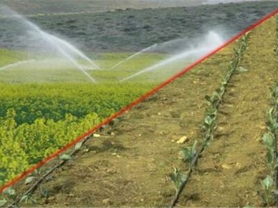 نصف طرح‌های نیمه‌تمام آبیاری امسال تعیین تکلیف می‌شود