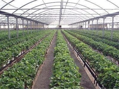 نرخ گاز گلخانه‌ها پس از 18 سال، افزایش یافت