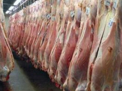 آغاز ثبت سفارش جدید برای واردات گوشت منجمد و گرم