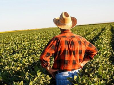 کشاورزان آمریکا زیر فشار جنگ تجاری ترامپ؛ تهدید امنیت غذایی جهان