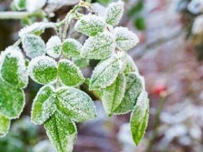 کاهش 10 درجه‌ای دما در تهران از شنبه