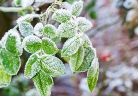 کاهش 10 درجه‌ای دما در تهران از شنبه