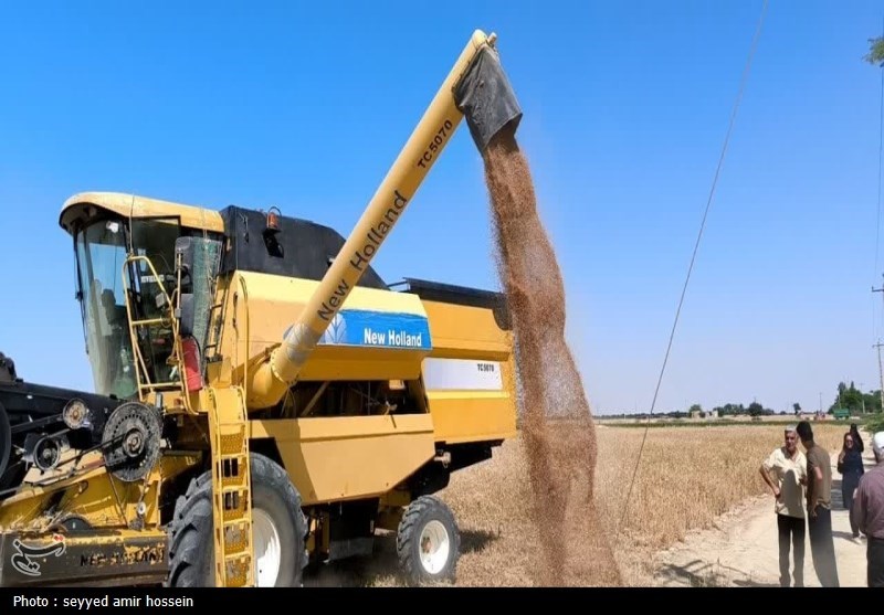 30درصد گندم کشور از برداشت تا مصرف هدر می‌رود