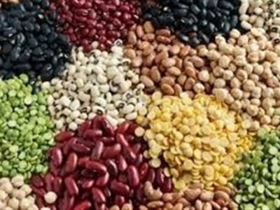 چرا تورم حبوبات از 60 درصد عبور کرد؟/ارز ترجیحی برای پالم و شکلات، ارز توافقی برای حبوبات