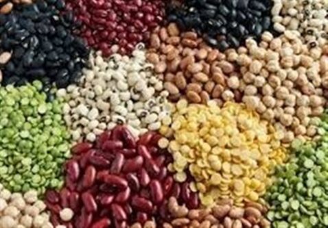 چرا تورم حبوبات از 60 درصد عبور کرد؟/ارز ترجیحی برای پالم و شکلات، ارز توافقی برای حبوبات