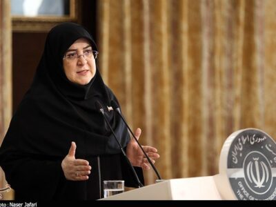 سخنگوی دولت: رویکرد اصلی دولت، واگذاری امور به بخش خصوصی است