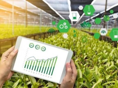 استفاده از هوش مصنوعی برای آبیاری مزارع کشور