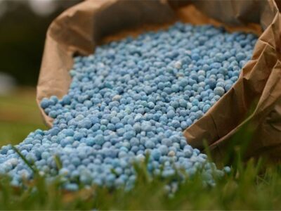 قیمت کود 11 برابر افزایش یافت