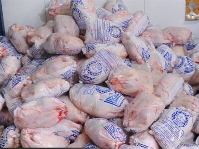آغاز توزیع مرغ منجمد با قیمت 86 هزار تومان