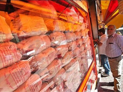 تولید مرغ به روال عادی برگشت