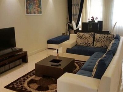 شناسایی خانه‌های خالی با سامانه خودنویس چگونه امکان‌پذیر خواهد شد؟