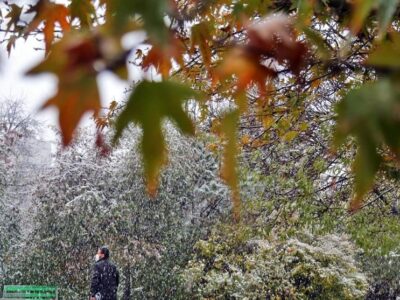 هواشناسی ایران۱۴۰۴/۷/۱۵؛ افزایش دما در نوار شمالی کشور از فردا چهارشنبه