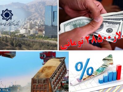 گروه مدلل چقدر ارز ترجیحی گرفت؟