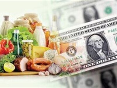 هشدار جدی سازمان برنامه درباره تبعات تورمی ارز تک نرخی