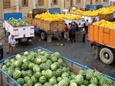 ممنوعیت‌ ناگهانی واردات 45 محصول کشاورزی به عراق و اقلیم + فهرست