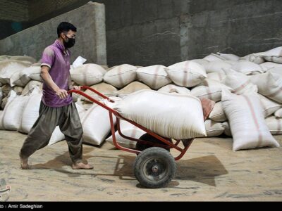 سیاست‌های غلط دولتی بازار برنج را متلاطم کرد