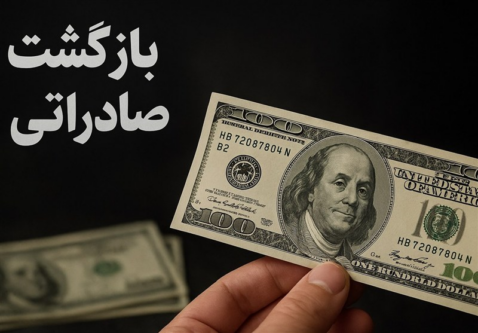 7 میلیارد دلار ارز با کارت اشخاص حقیقی برنگشت/ پای 100 بدهکار ارزی در میان است
