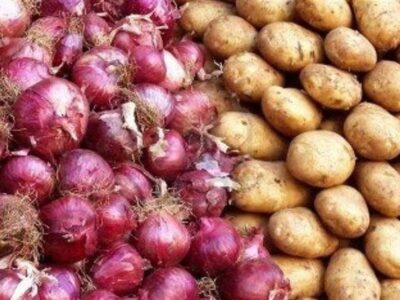 هسته‌ای در کشاورزی ــ 41