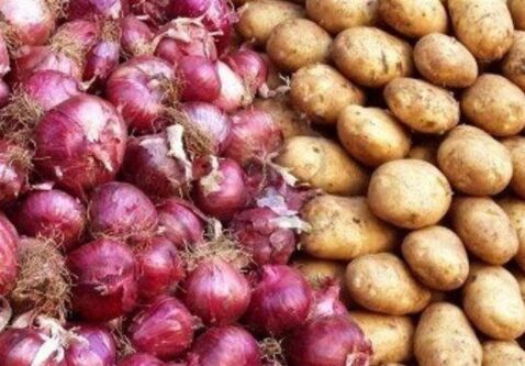 هستهای در کشاورزی ــ 41