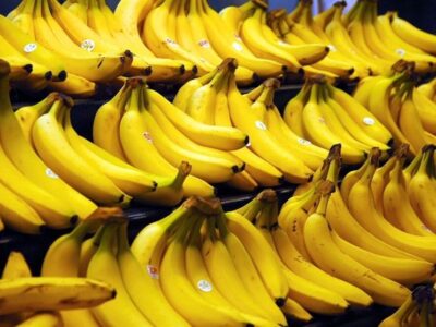 هسته‌ای در کشاورزی ــ 42