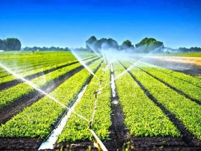 100 میلیون دلار تجهیزات آبیاری محصولات کشاورزی صادر شد