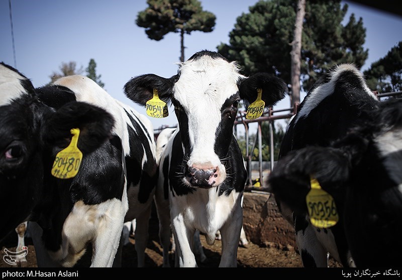هسته‌ای در کشاورزی ــ 72