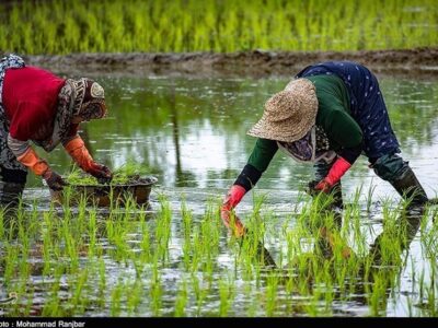 «نجات آب» ــ 53